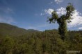 /album/fotogaleria/imagescau79l8u-jpg/